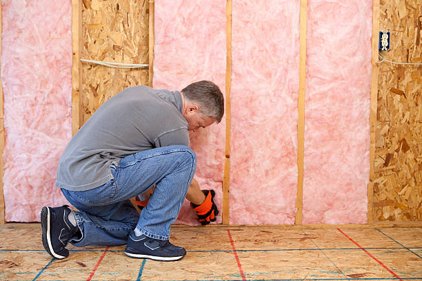 Best Insulation Maintenance and Repair in Lyndhurst, OH